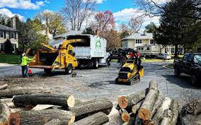 Best Commercial Tree Services  in Sanborn, NY